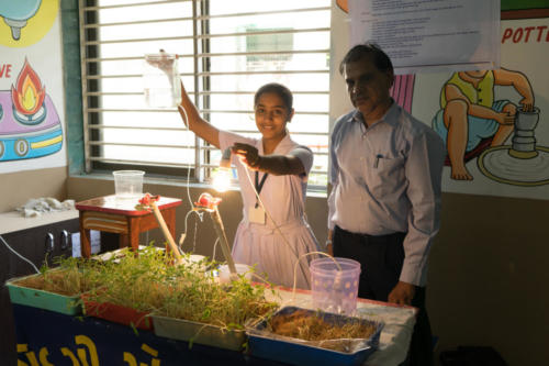 DISTRICT SCIENCE FAIR 2017